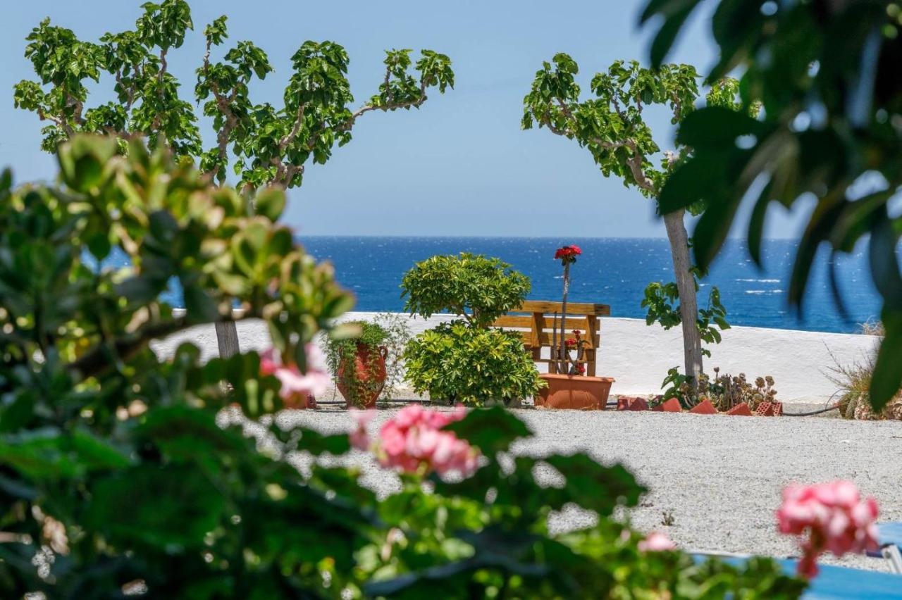Creta Sun Mokhlos Exteriör bild