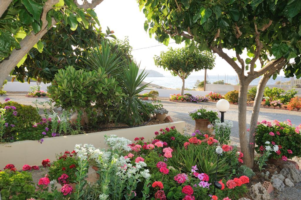 Creta Sun Mokhlos Rum bild